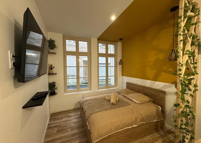 Studio Hyper Centre Le Cosy
