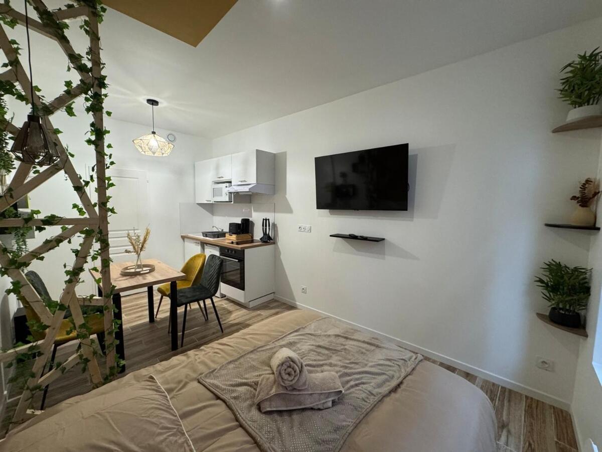 Hyper Centre Le Cosy Apartment