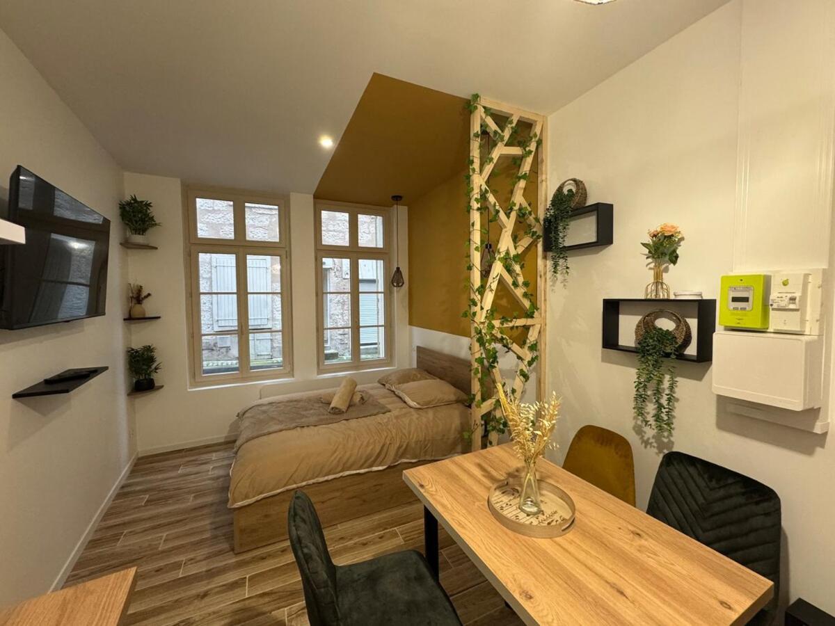 Hyper Centre Le Cosy Apartment Niort